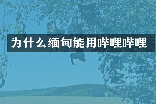 为什么缅甸能用哔哩哔哩