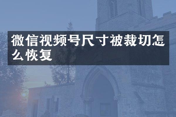 微信视频号尺寸被裁切怎么恢复