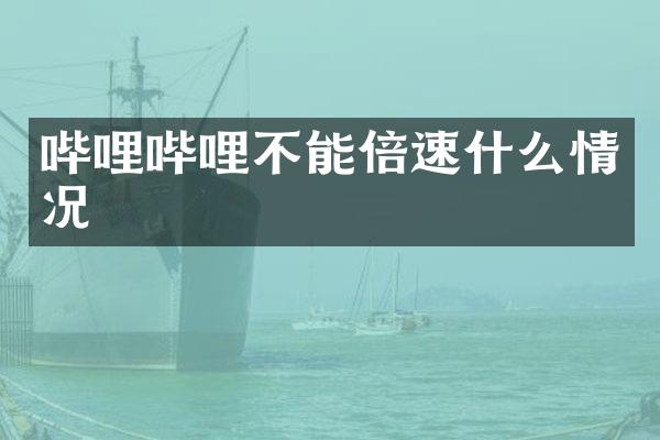 哔哩哔哩不能倍速什么情况