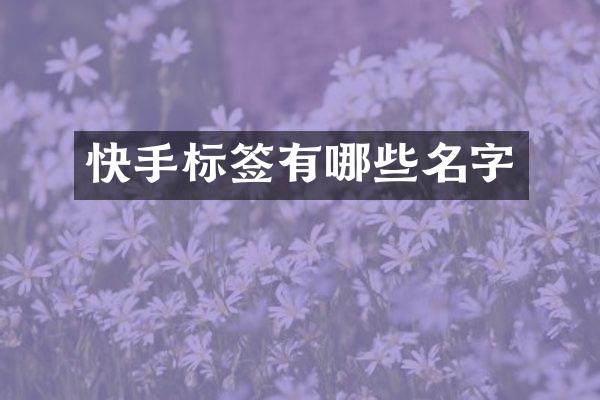 快手标签有哪些名字