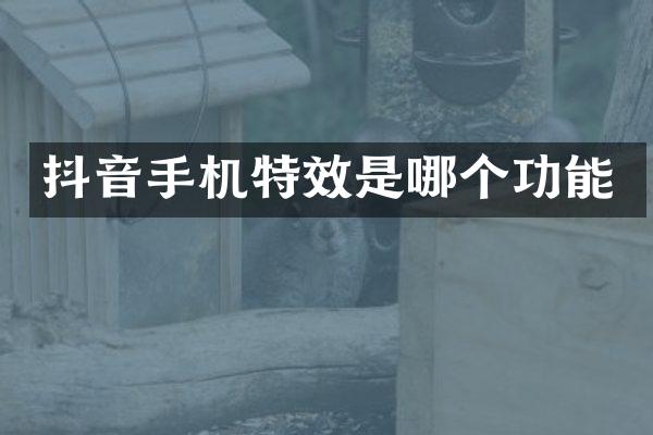 抖音手机特效是哪个功能
