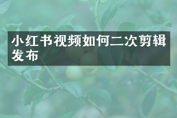 小红书视频如何二次剪辑发布