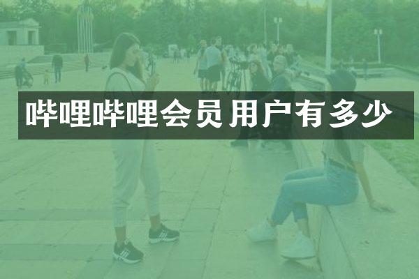 哔哩哔哩会员用户有多少