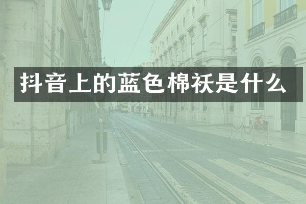 抖音上的蓝色棉袄是什么