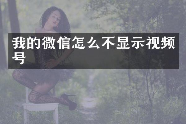 我的微信怎么不显示视频号