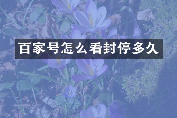 百家号怎么看封停多久