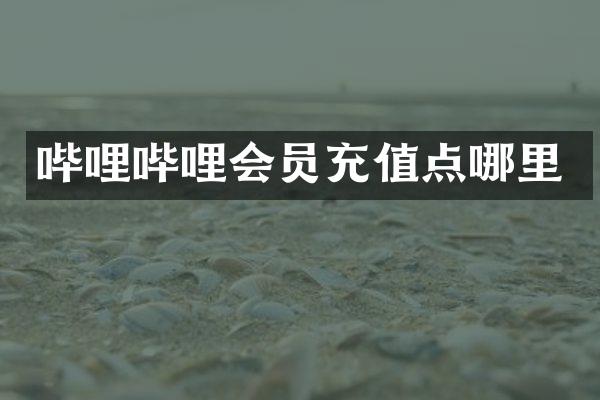 哔哩哔哩会员充值点哪里