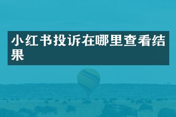 小红书投诉在哪里查看结果