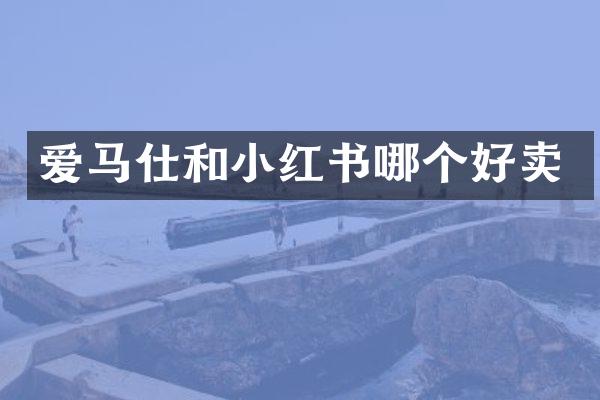 爱马仕和小红书哪个好卖