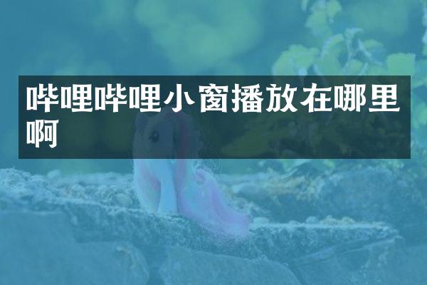 哔哩哔哩小窗播放在哪里啊