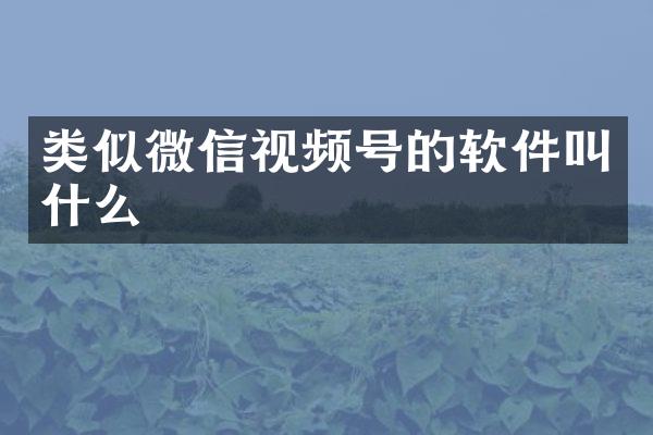 类似微信视频号的软件叫什么