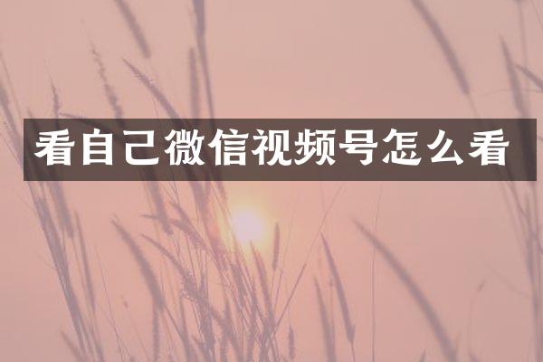 看自己微信视频号怎么看
