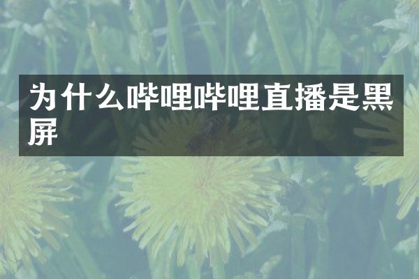 为什么哔哩哔哩直播是黑屏
