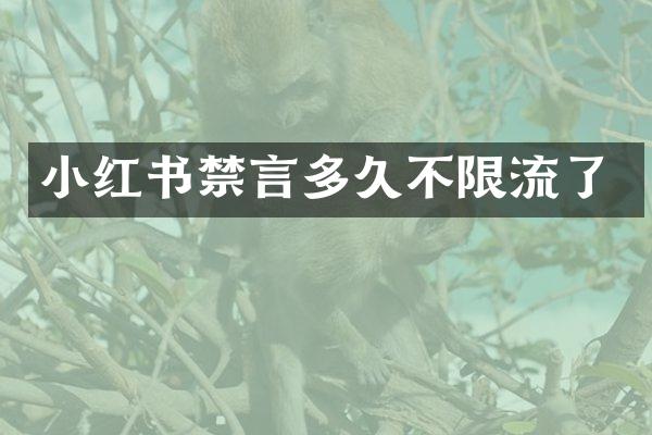 小红书禁言多久不限流了