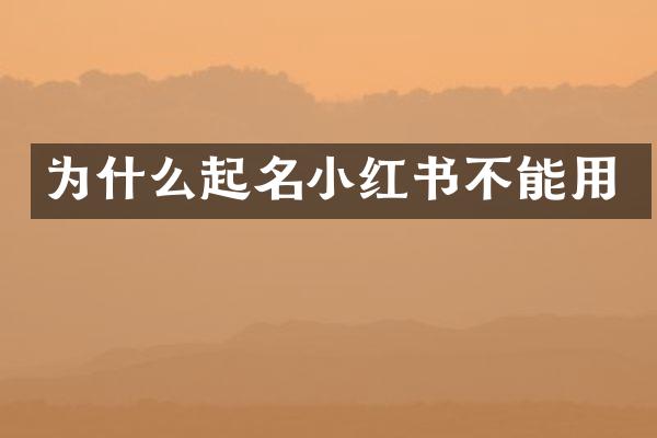 为什么起名小红书不能用