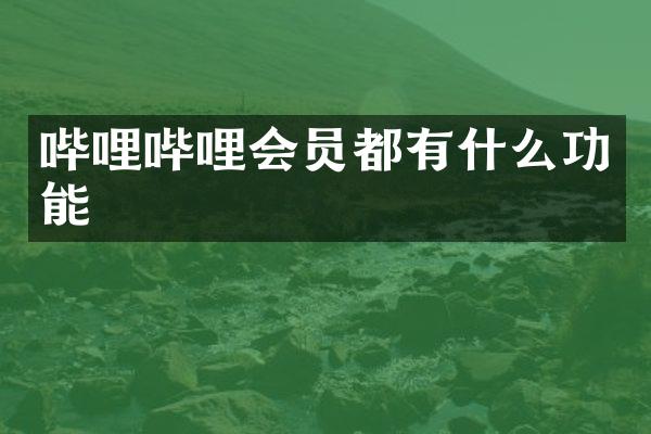 哔哩哔哩会员都有什么功能