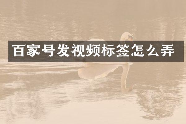 百家号发视频标签怎么弄