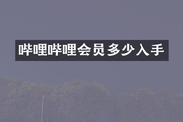哔哩哔哩会员多少入手