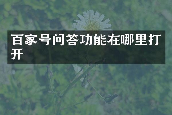 百家号问答功能在哪里打开