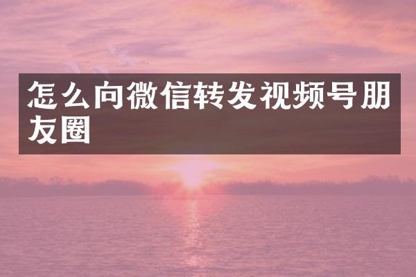 怎么向微信转发视频号朋友圈
