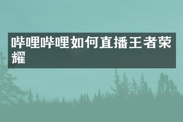 哔哩哔哩如何直播王者荣耀