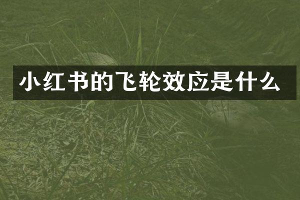 小红书的飞轮效应是什么