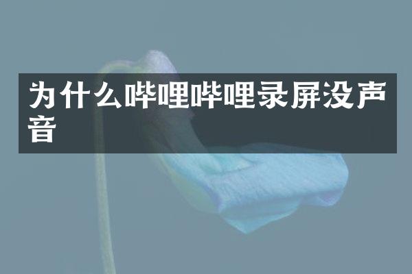 为什么哔哩哔哩录屏没声音