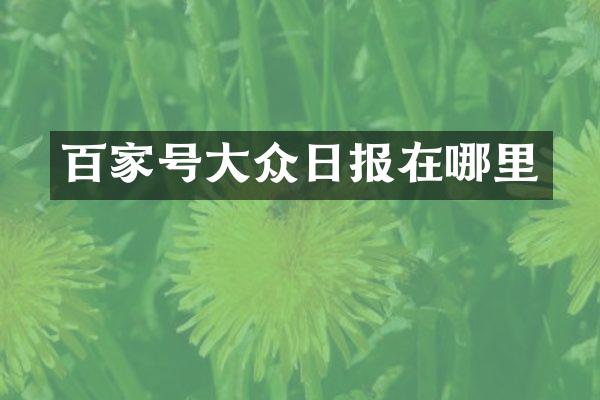 百家号大众日报在哪里