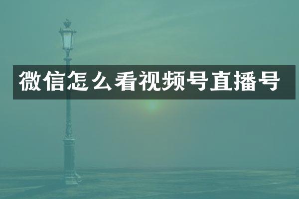 微信怎么看视频号直播号