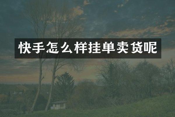 快手怎么样挂单卖货呢