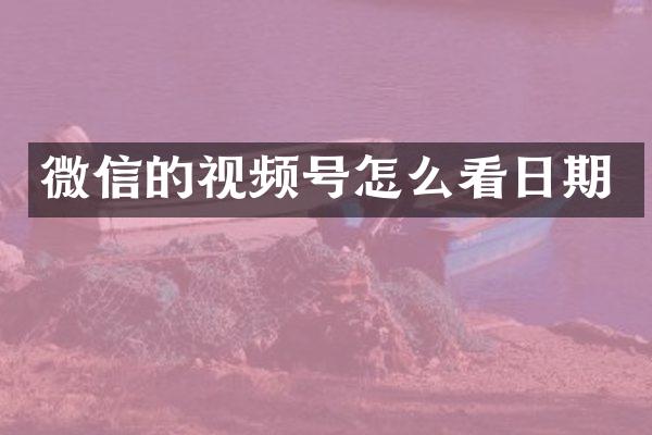 微信的视频号怎么看日期