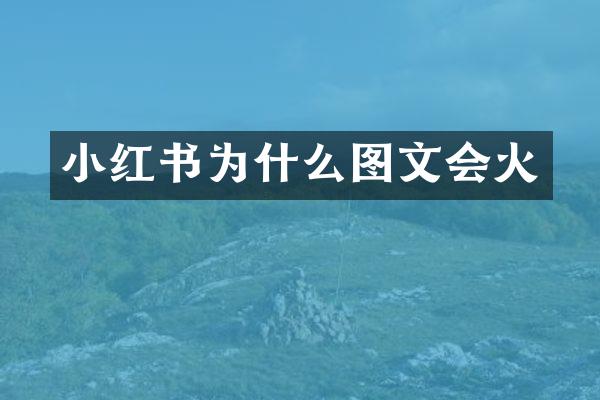 小红书为什么图文会火