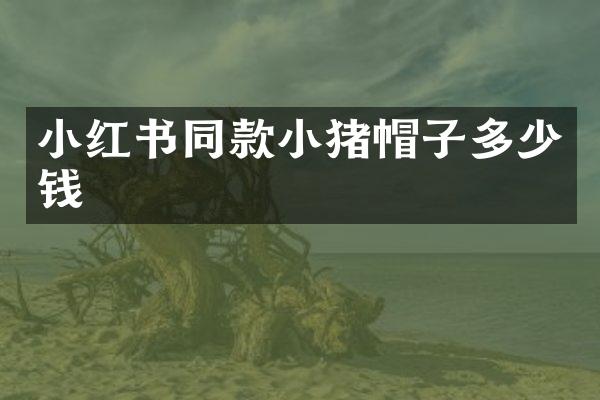 小红书同款小猪帽子多少钱