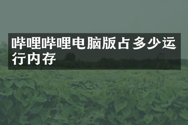 哔哩哔哩电脑版占多少运行内存