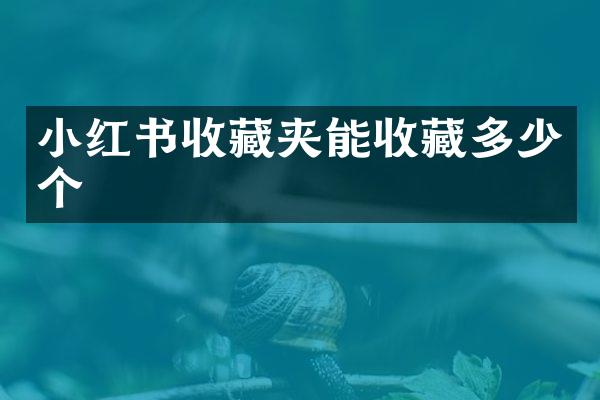 小红书收藏夹能收藏多少个
