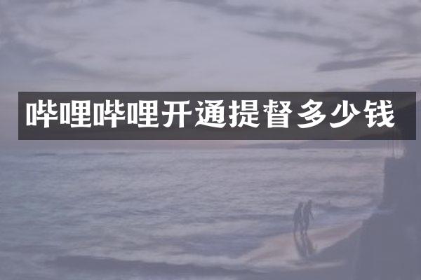 哔哩哔哩开通提督多少钱