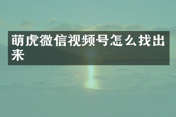 萌虎微信视频号怎么找出来