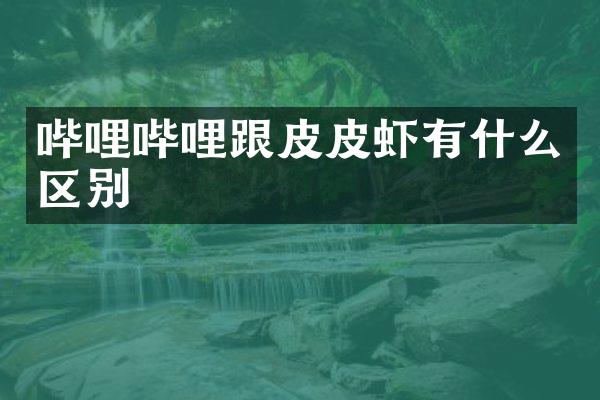 哔哩哔哩跟皮皮虾有什么区别