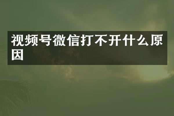 视频号微信打不开什么原因