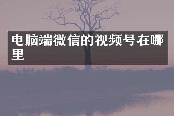 电脑端微信的视频号在哪里
