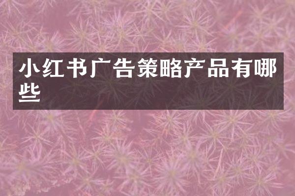 小红书广告策略产品有哪些