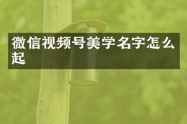微信视频号美学名字怎么起