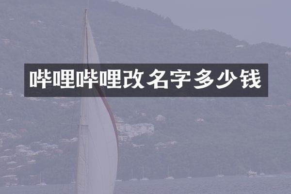 哔哩哔哩改名字多少钱