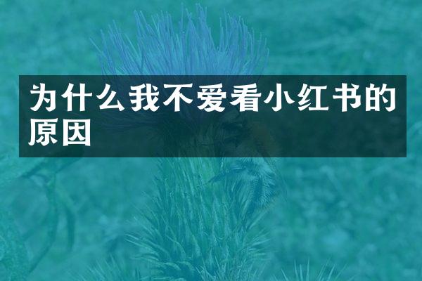 为什么我不爱看小红书的原因