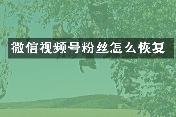 微信视频号粉丝怎么恢复