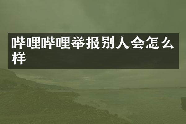 哔哩哔哩举报别人会怎么样