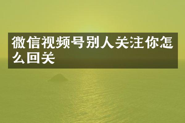 微信视频号别人关注你怎么回关