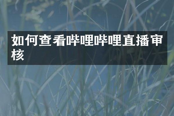 如何查看哔哩哔哩直播审核