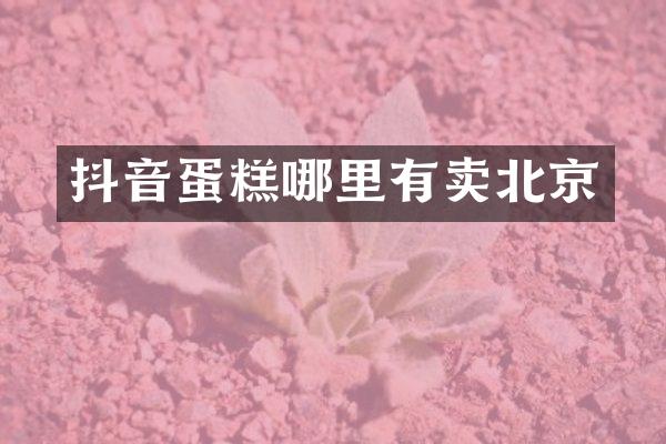 抖音蛋糕哪里有卖北京