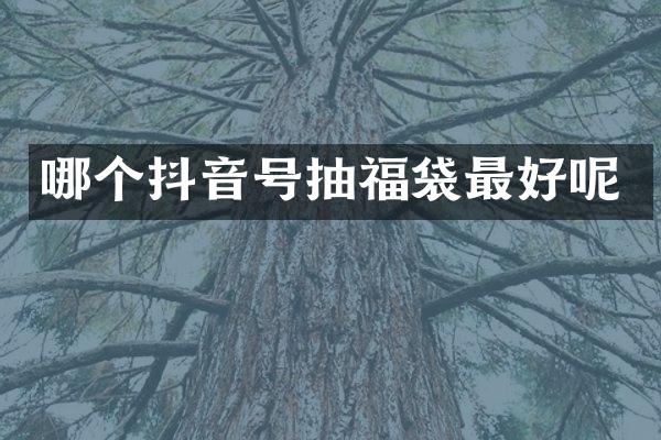 哪个抖音号抽福袋最好呢